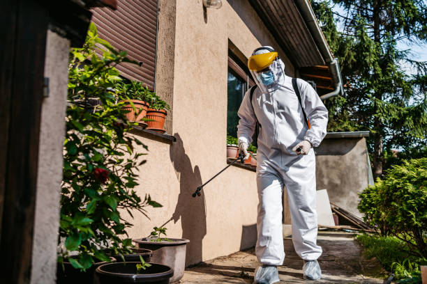 Best Mosquito Control Services  in Iowa Falls, IA
