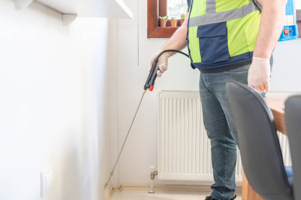 Best Affordable Pest Control Services  in Iowa Falls, IA