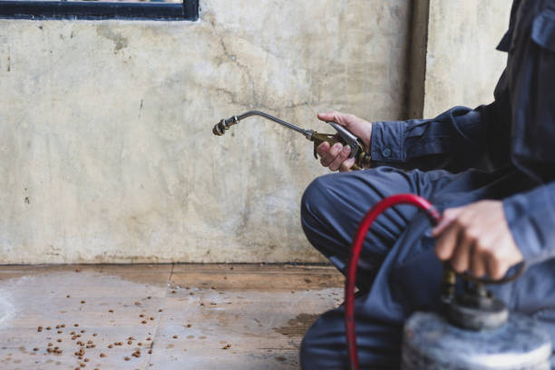 Best Local Pest Control Services  in Iowa Falls, IA
